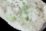 Green Augelite Crystals on Quartz - Peru #173389-3